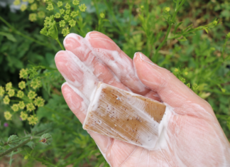 Een goede reden om een blok zeep in de tuin te leggen